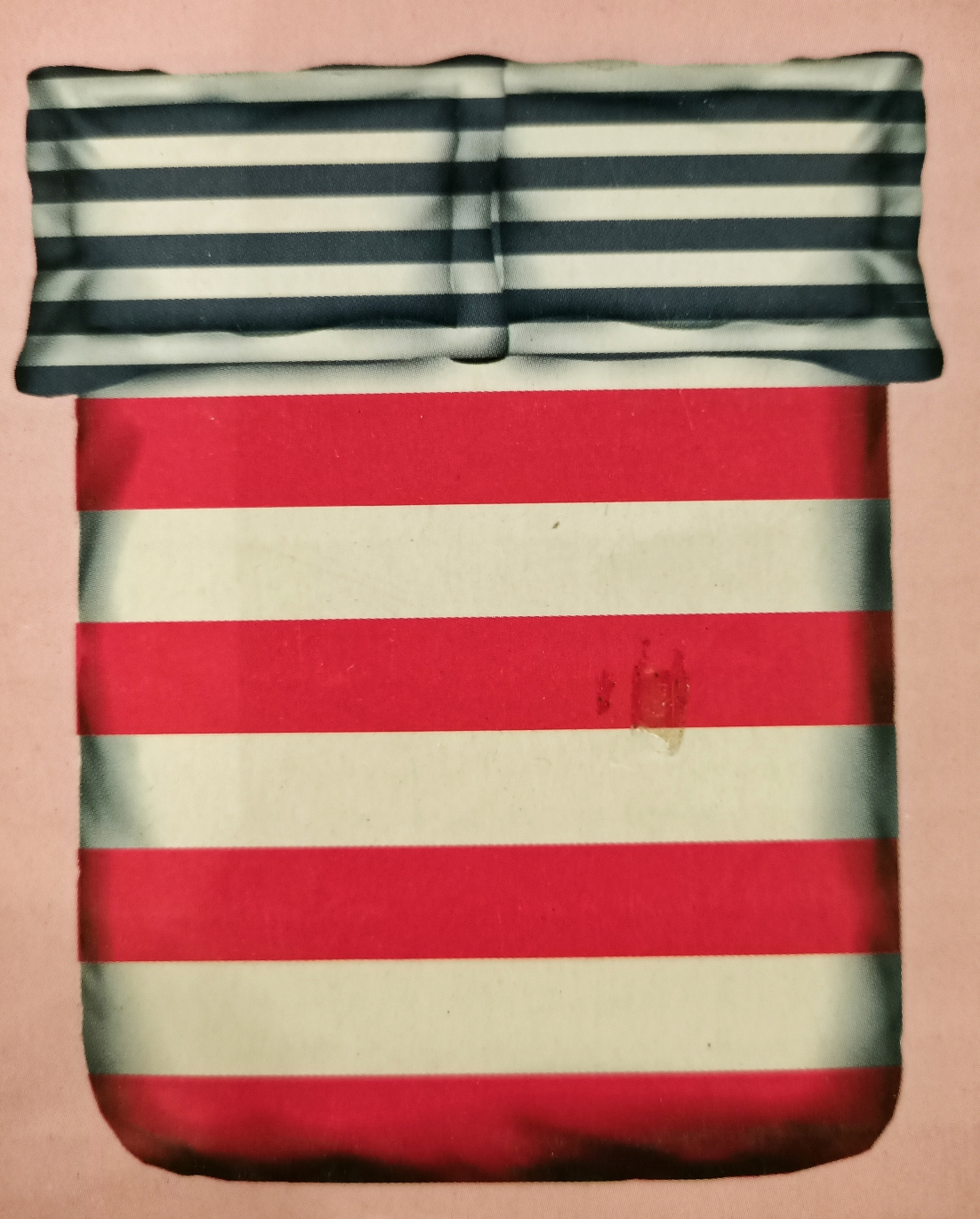 PORTICO Liva Home Bedsheet