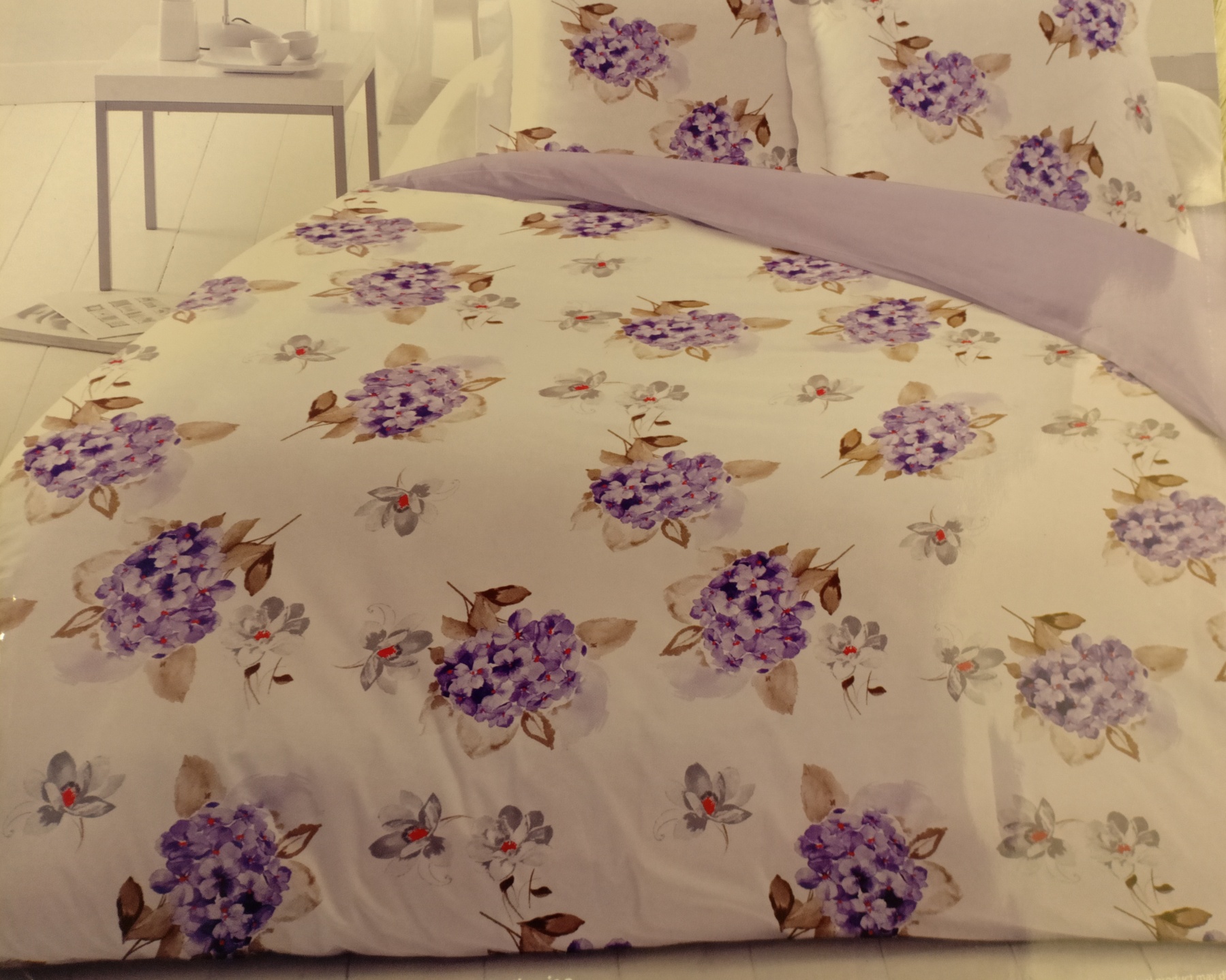 GALAXY Bedsheet by RAYMOND