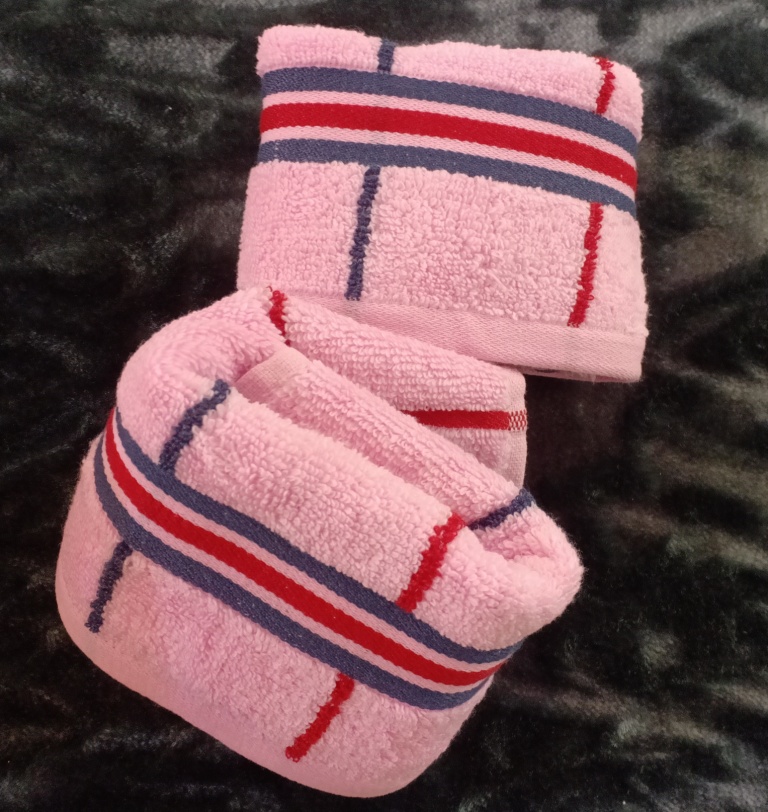 Cotton  Hand Towel  by Homiekart