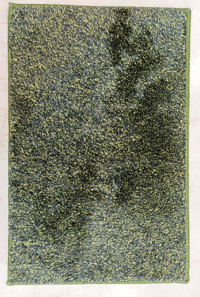 Adore Anti-skid shaggy Door Mat By Homiekart